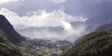 Mơ thấy núi rừng, đánh lô đề con gì?